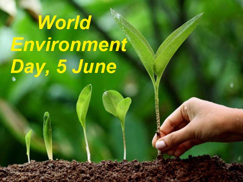 Environment Day